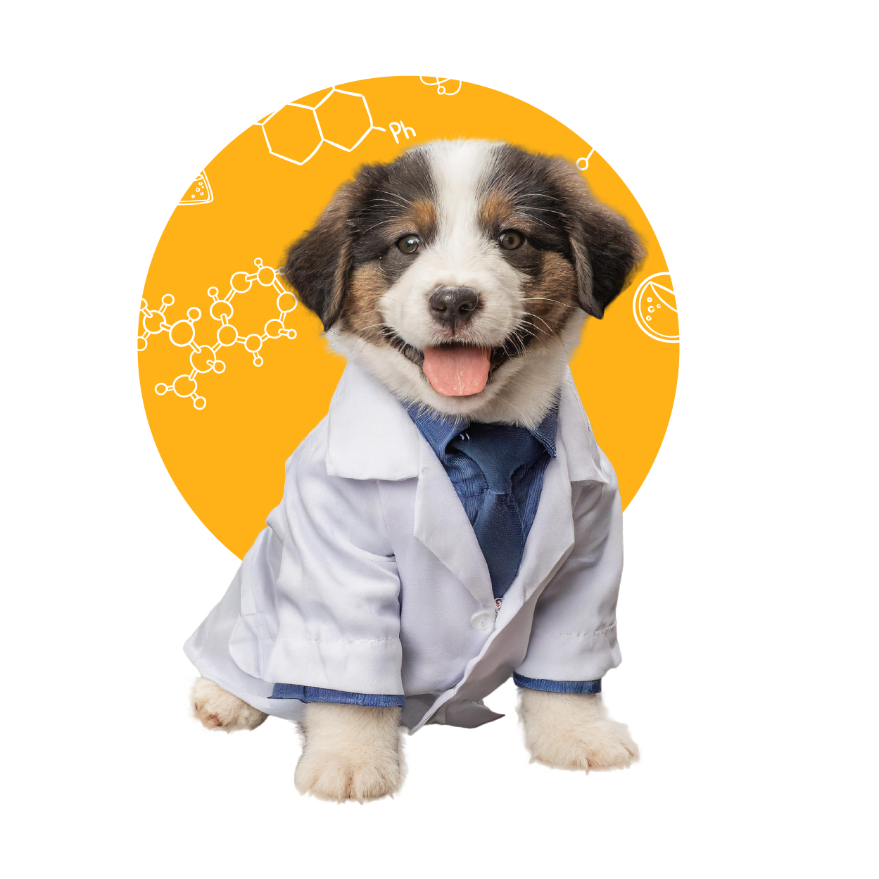 Nutrición Dante, probióticos snacks mascotas